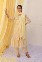 Anarkali Dress Set